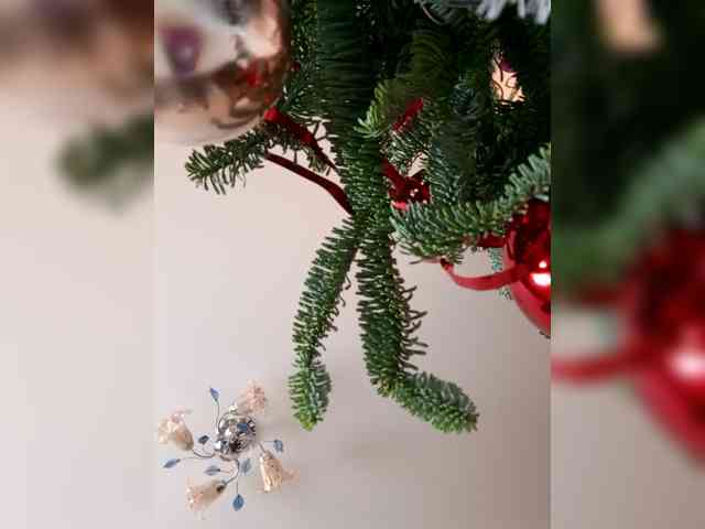 SweetDimond5 SweetDimond5