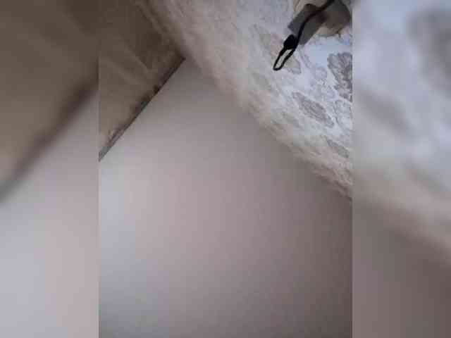 SweetDimond5 webcam