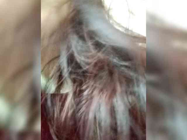 SweetDimond5 SweetDimond5