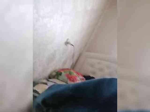 SweetDimond5 webcam