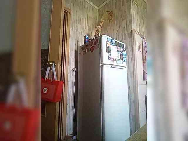 SweetDimond5 webcam