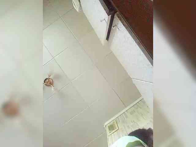 SweetDimond5 webcam