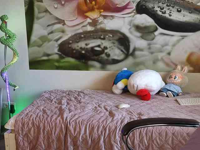 -prekrasno- webcam