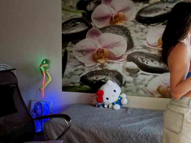 -prekrasno- webcam