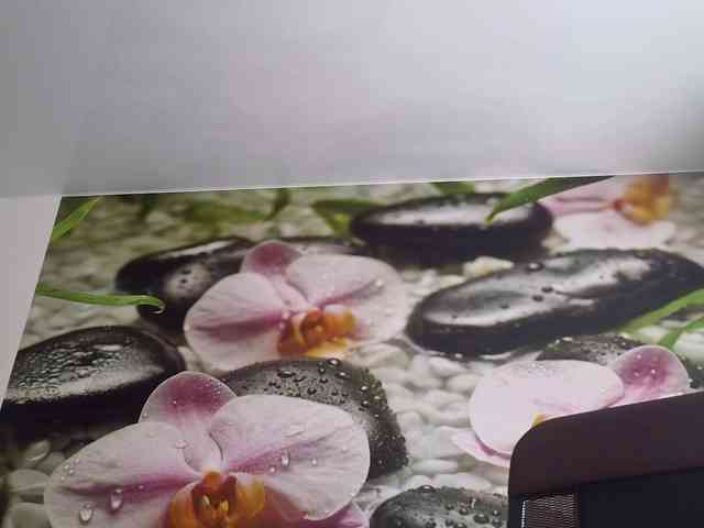 -prekrasno- webcam