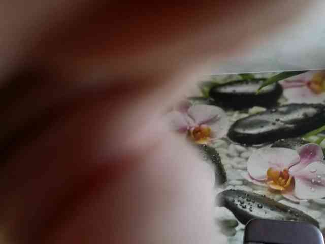 -prekrasno- webcam