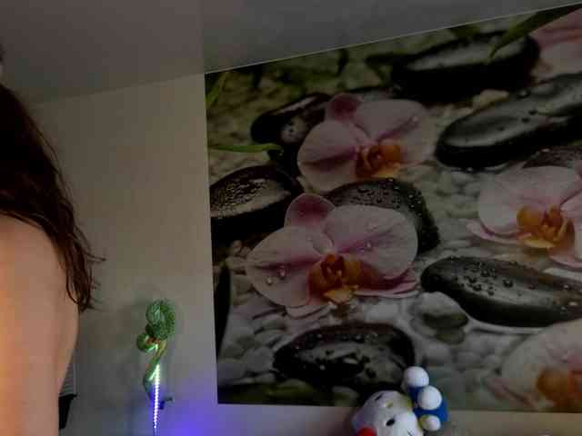-prekrasno- webcam