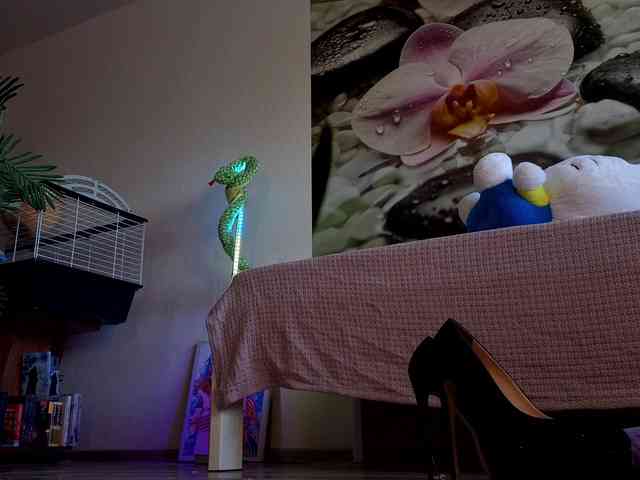 -prekrasno- webcam