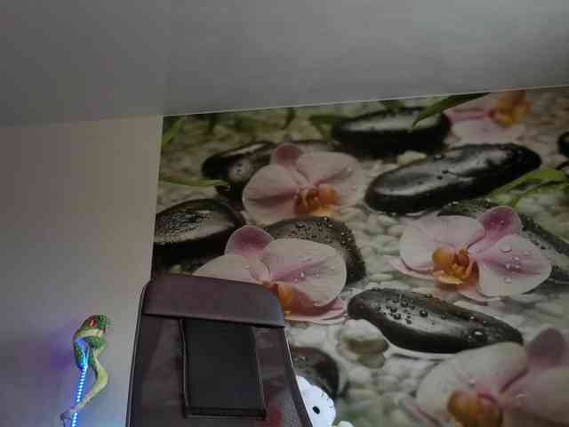 -prekrasno- webcam