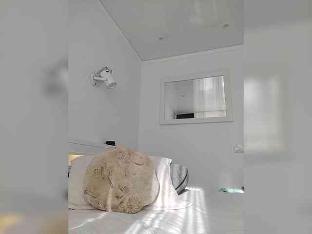 _a_n_a_s_t_a_s_i_a_ webcam