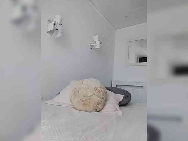 _a_n_a_s_t_a_s_i_a_ webcam