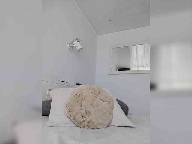 _a_n_a_s_t_a_s_i_a_ webcam