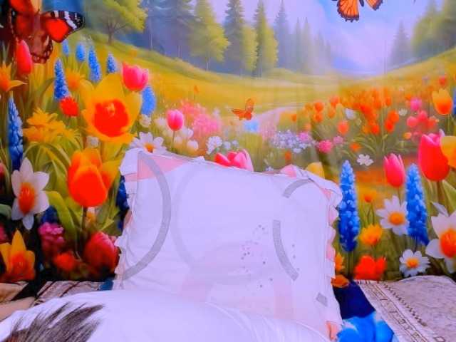 indianroxy's BongaCams show and profile