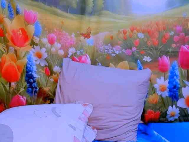 indianroxy indianroxy