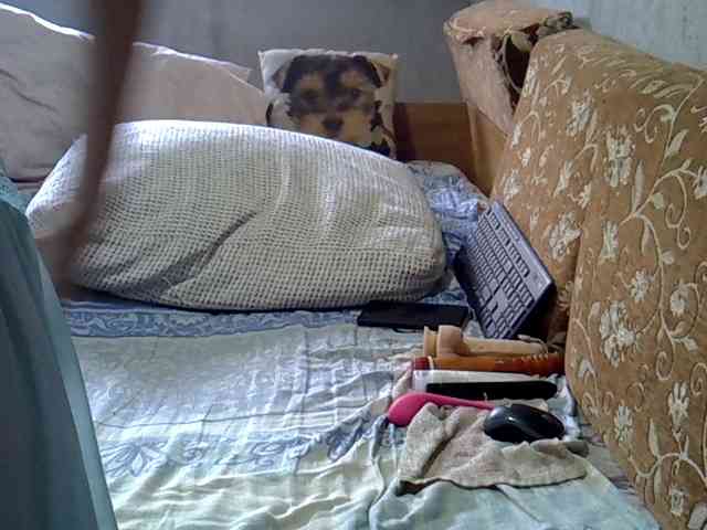 ptichka38 webcam
