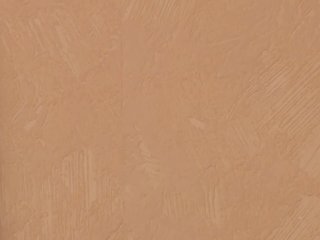 PoshLadyx Porn Show
