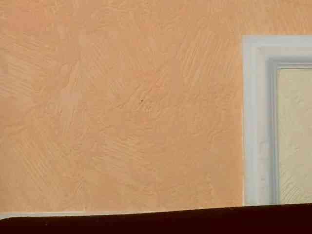 PoshLadyx webcam