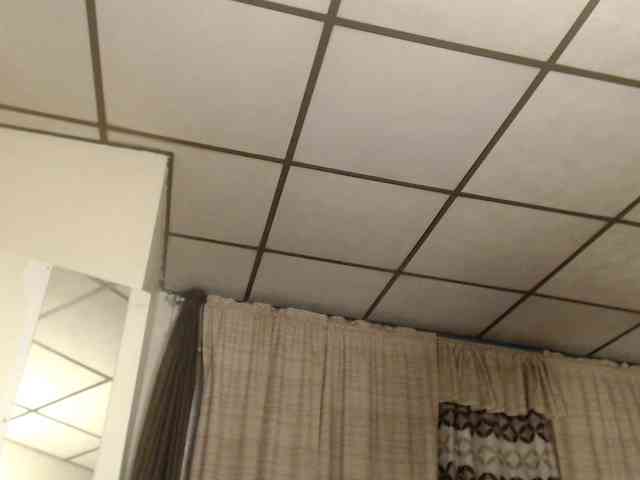 FIXMYASSTOO webcam