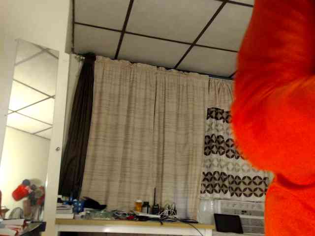 FIXMYASSTOO webcam