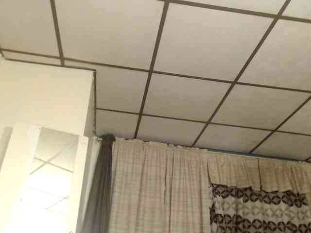FIXMYASSTOO webcam