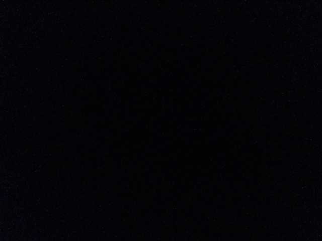 adrianna_fox live sex