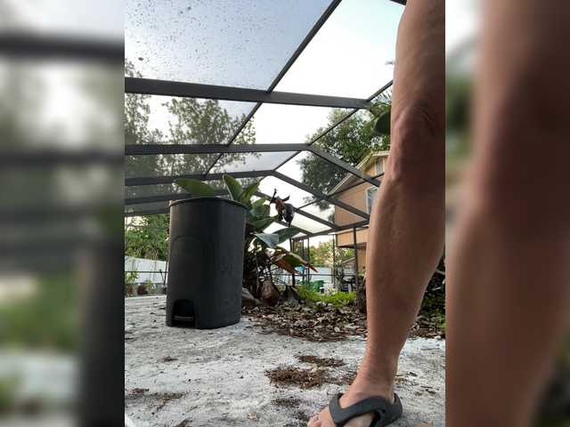  adrianna_fox chat room