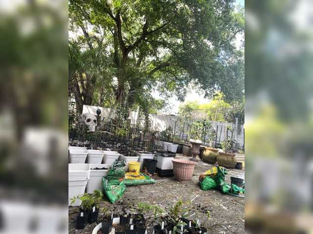 adrianna_fox's BongaCams show and profile