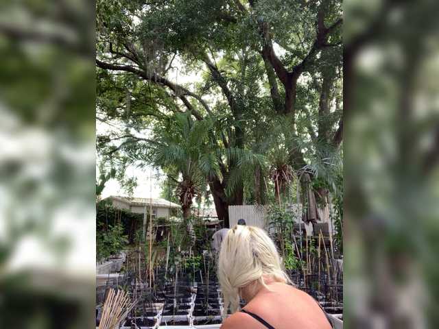 adrianna_fox cam belle