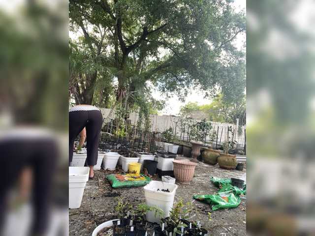 adrianna_fox's BongaCams show and profile