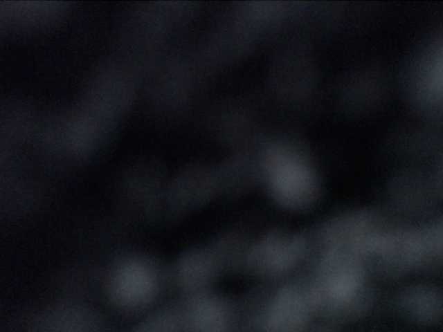 adrianna_fox cam belle