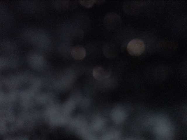 adrianna_fox cam belle