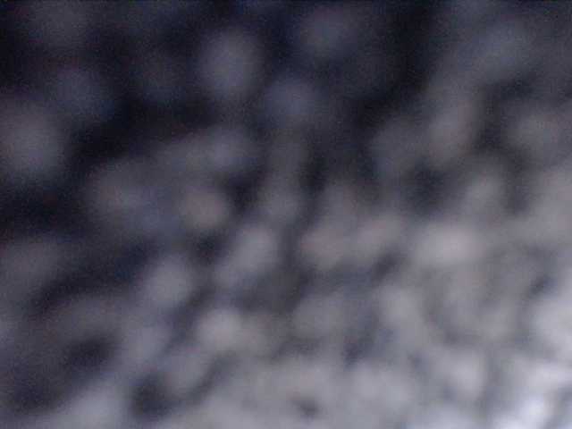 adrianna_fox's BongaCams show and profile