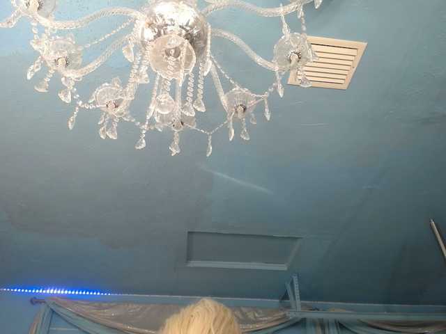 Profile and Statistics for adrianna_fox on BongaCams