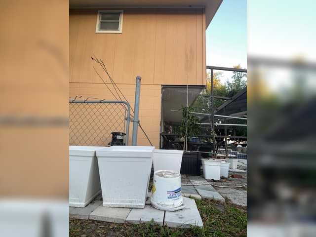 adrianna_fox's BongaCams show and profile