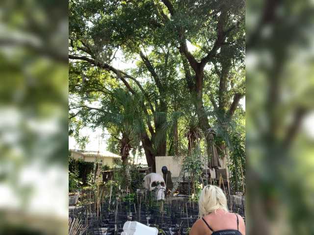 adrianna_fox live cam profile