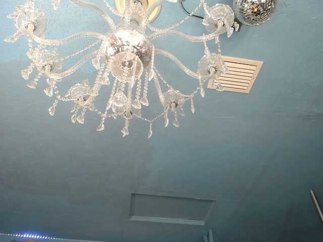 adrianna_fox cam belle