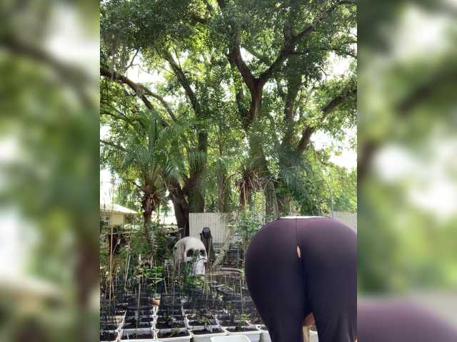 Preview of adrianna_fox