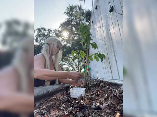 adrianna_fox live sex