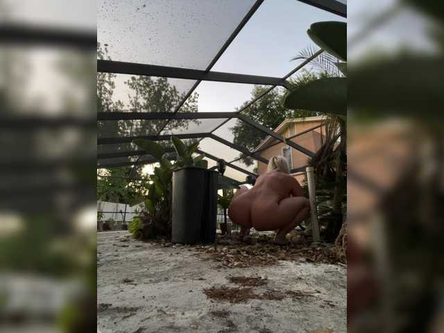  adrianna_fox chat room