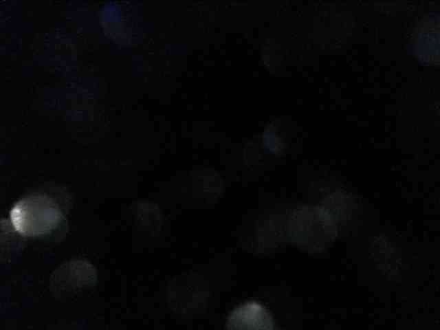 adrianna_fox adrianna_fox