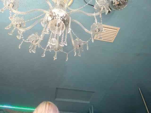 adrianna_fox webcam