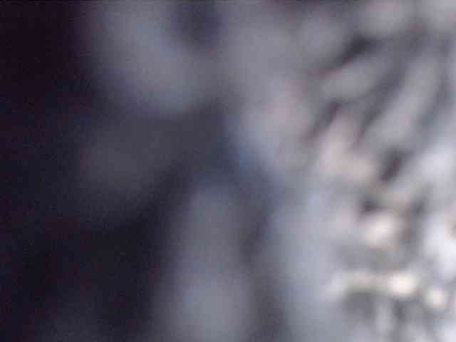 adrianna_fox adrianna_fox