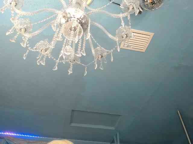 adrianna_fox webcam