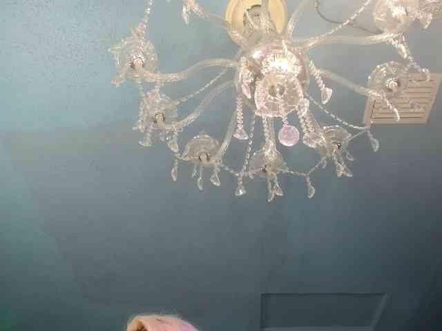 adrianna_fox webcam