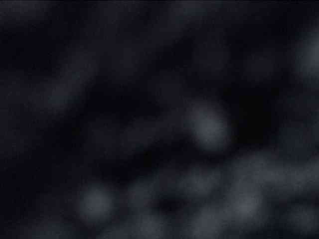 adrianna_fox adrianna_fox