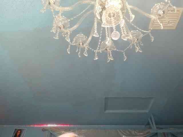 adrianna_fox webcam