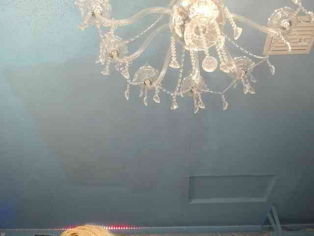 adrianna_fox webcam