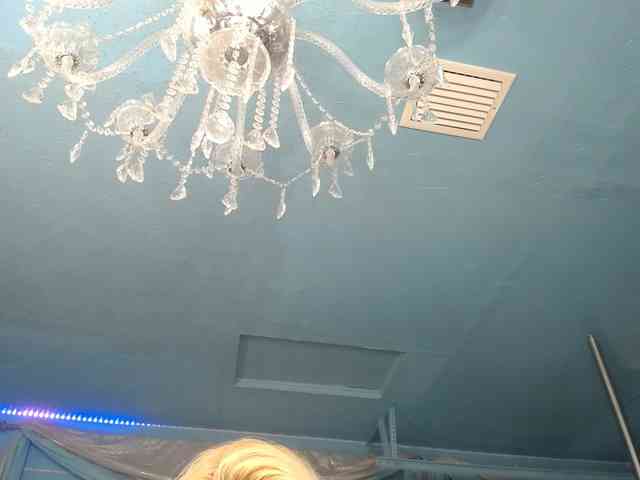 adrianna_fox webcam