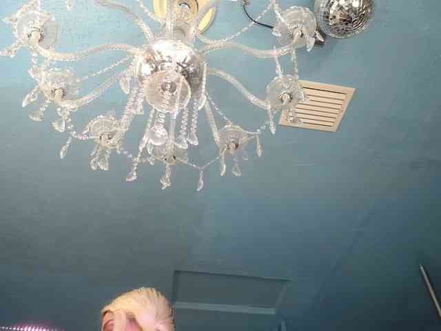 adrianna_fox adrianna_fox