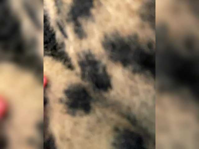 Lisa1225's BongaCams show and profile